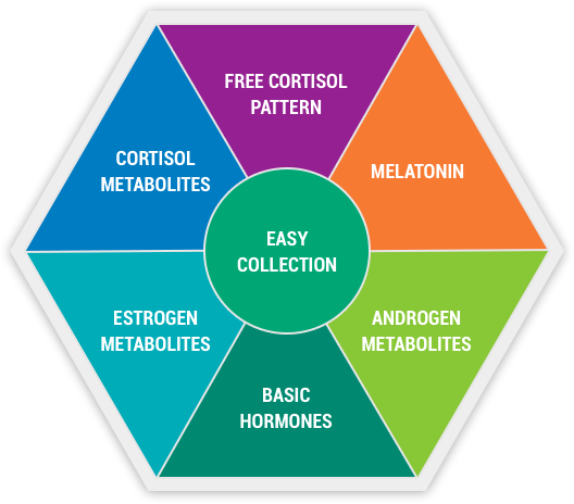 DUTCH Test Components